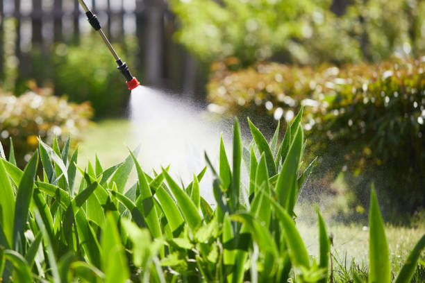 Tamper-Resistant Bait Stations for Rodents in Pajaro