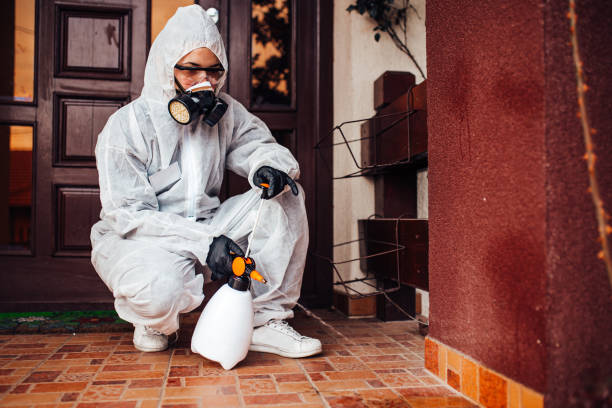 Attic and Crawl Space Rodent Treatment in Pajaro