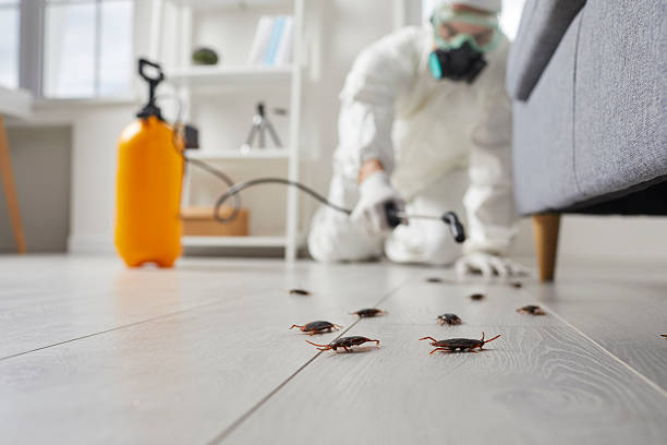 Commercial Rodent Management in Pajaro